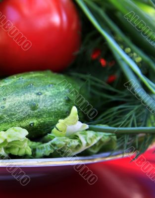 Vegetables for salad Vegetables for salad