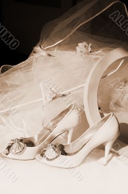 Wedding shoes, box and veil