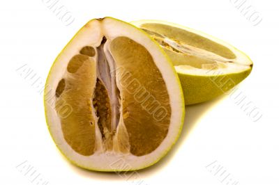 Citrus grandis