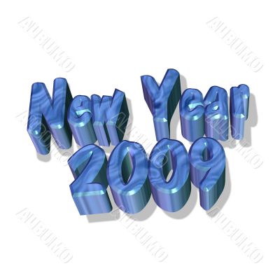 New year 2009