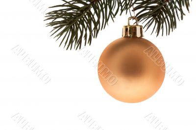 Golden Christmas ball with fir branch Golden Christmas ball with fir branch