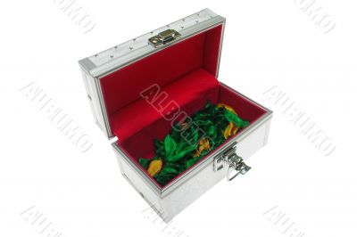 Opened distinctive magic chest with flower leafs on bottom isola