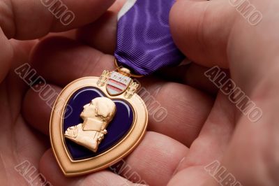 Man Holding Purple Heart War Medal Man Holding Purple Heart War Medal