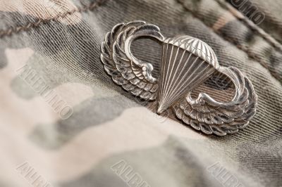 Paratrooper War Medal