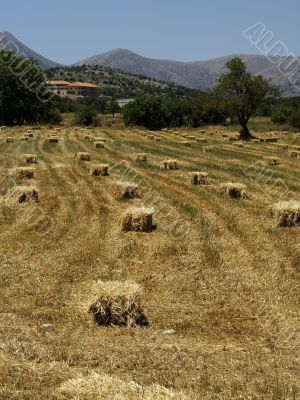 Square hay bales in a valley