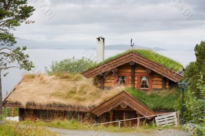 overgrown house