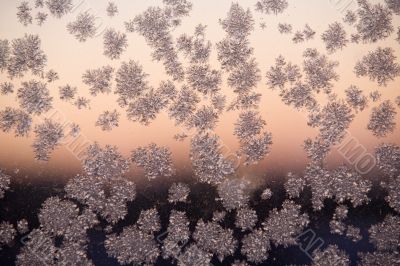 frosty pattern on window glass