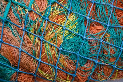 tangled net
