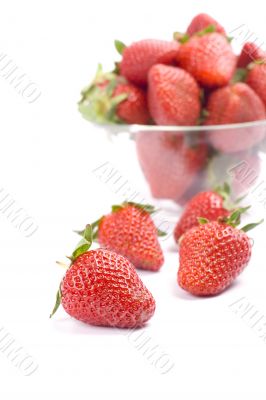 strawberries in the bowl strawberries in the bowl