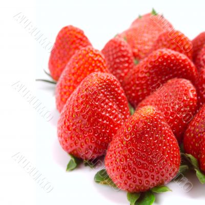 fresh strawberries fresh strawberries