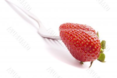 fork and fresh strawberry fork and fresh strawberry