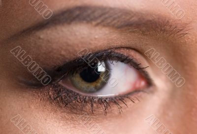 The macro female eye