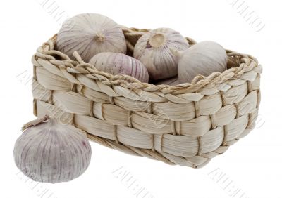 Garlic in little basket