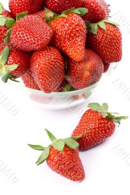 strawberries in the bowl strawberries in the bowl