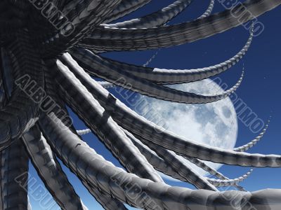 tentacles - octopus tentacles - octopus
