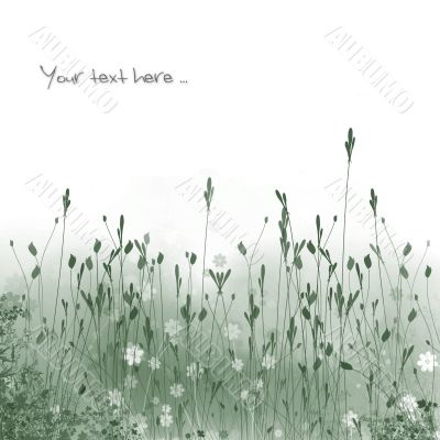 Meadow