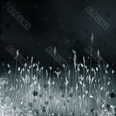 Night meadow Night meadow
