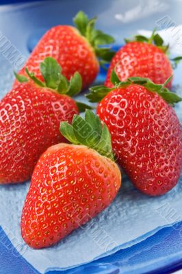 Strawberries Strawberries