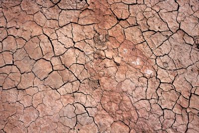 Dried Clay,China