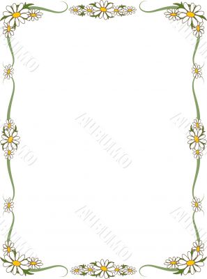 Daisy Border