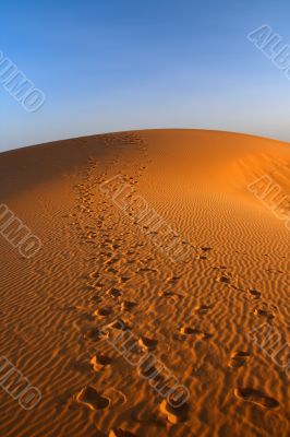 sunset over Sahara desert