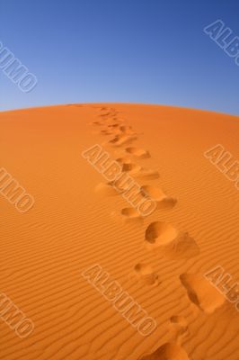 walking on Sahara