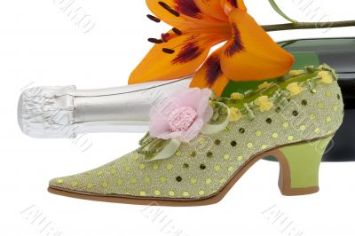elegant lady shoe with champagne