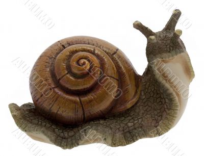 Snail