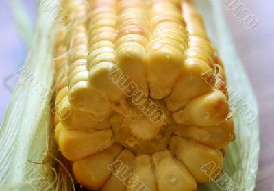 Wet corn
