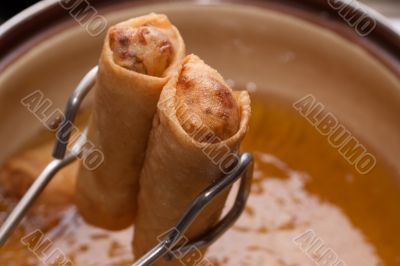 Spring roll in the edible oil