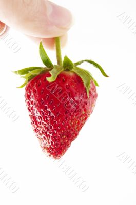 fresh strawberry in hand