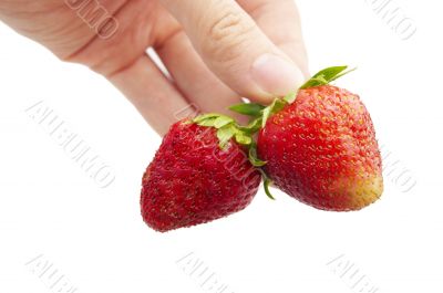 fresh strawberry in hand