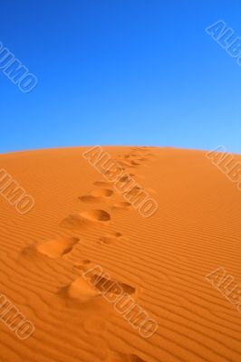 walking on Sahara desert