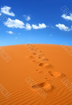 walking on Sahara