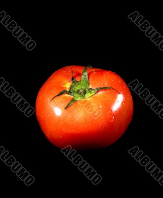 tomato on black