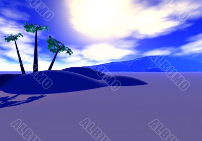 Desert at dawn