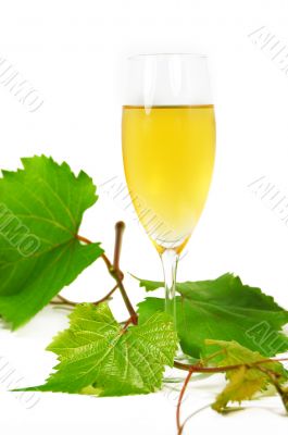 Muscat glass of wine with leaves Muscat glass of wine with leaves