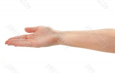 female hand holding an invisible object