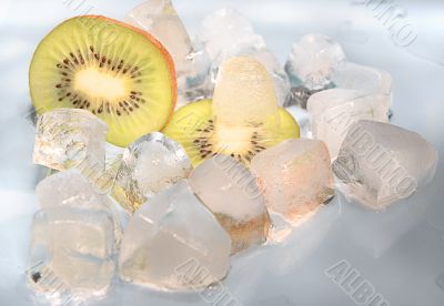 kiwi on ice