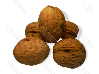 Walnuts