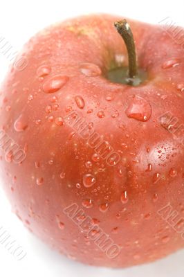 Red apple close up