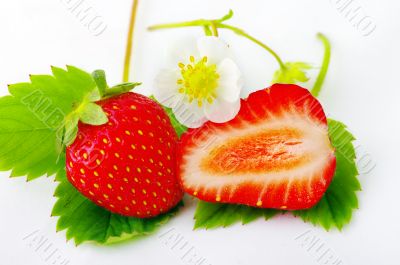 Strawberries and flowers on white background