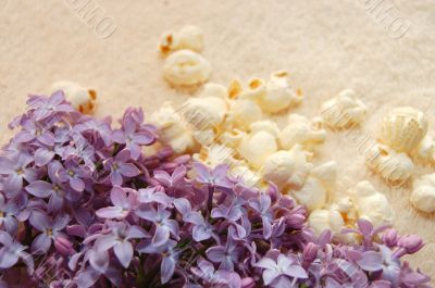 Still-life from a lilac on a towel