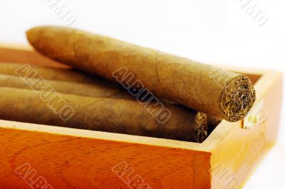 cigars texture. Cigars in box.