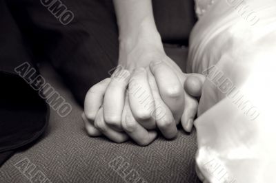 The hands of bride and groom The hands of bride and groom