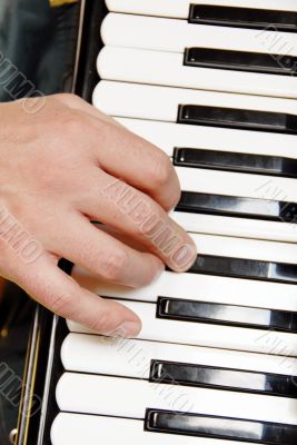 Musician hand playing accordion