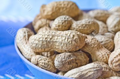 peanut peanut