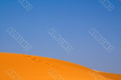 walking on Sahara