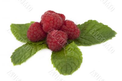 Raspberry on peppermint sheet