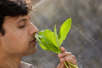 Man and spinach Man and spinach